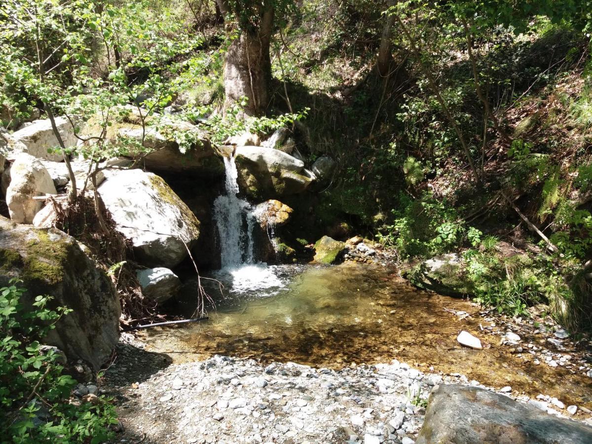 Tsagarada Cottage Εξωτερικό φωτογραφία