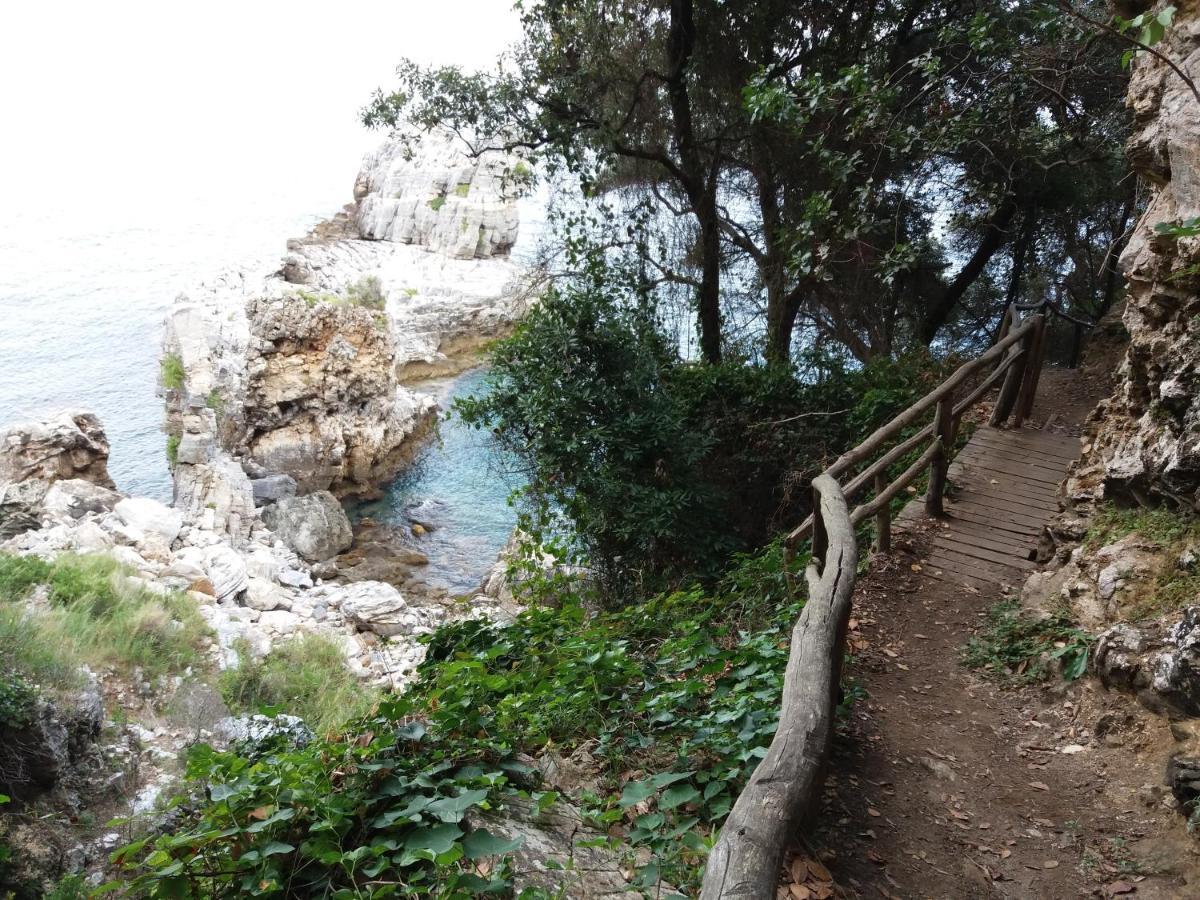 Tsagarada Cottage Εξωτερικό φωτογραφία